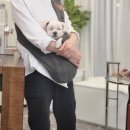 토비네 살롱 이미지