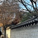 강화당한의원 이미지