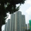 신성대림공인중개사사무소 이미지