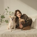 퓨어무드스튜디오