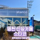 스타코(starco) 이미지