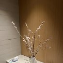 [여행] 여주 해슬리 햄릿 나인브릿지 1박 후기💗/해슬리나인브릿지CC