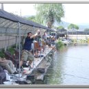 일영낚시터 이미지