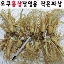 홍삼의효능 홍삼액 복용법 시간 홍삼 만들기 오쿠 사용법 이미지