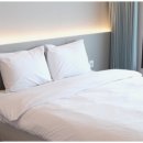 이터널블루 이미지