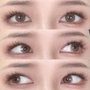 허니 브라운 원데이 렌즈, 위드렌즈 혜안안경 렌즈 픽업 후기