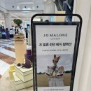 [트렌드 LAB] 신세계 강남점 : 조 말론 런던 베지 컬렉션 팝업 방문후기
