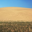 초원의 언덕 이미지