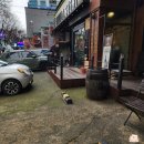 미카도스시(시지점) | 신선한 초밥 가득 빙글빙글 돌아가는 회전 초밥 맛집 미카도스시 시지점