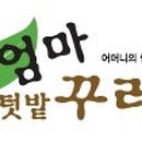 엄마동태 이미지
