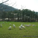 산양농장 이미지