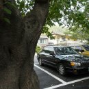 합천도예협회 도자기전시관 이미지