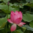다음 생이 있다면~ 이미지