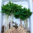 명기농장 이미지