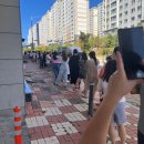 화이트리에산동점