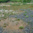 상리마을회관 이미지