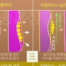 채종훈성형외과의원 이미지