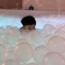 소보록 요보록 이미지