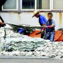 부산식품 장림공장 이미지