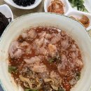 국도5호선 가로수길(의성) | 고성 여행지 추천! 물회 맛집 청진호, 화진포 의성 김일성 별장 방문 후기!