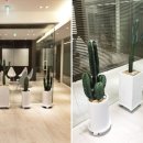 소호로L 이미지