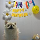 퍼피야미 이미지