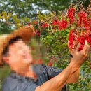 신녕한의원 이미지