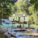 루앙프라방 여행 꽝시 폭포 가는 법 및 입장료, 투어 후기