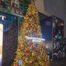 수원시 영통구 광교중앙로 | [수원] 영통디저트카페 크리스마스 기념 케이크 '카페 디아즈 갤러리아 광교점'