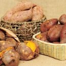 이내과의원 이미지