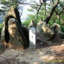 엄광산 동구경계 이미지