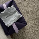 꼬돈 | [2026] 4월 일상