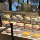 순수케이크 | 성심당 본점 케익부띠끄 평일 웨이팅 🥭 케이크 추천 순수롤, 망고롤, 떠망고 후기