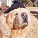 삼한사우나 이미지