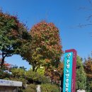 시립은평노인복지관 | 서울시립은평노인종합복지관 어르신 취업지원 관련 사업자문 방문 후기