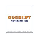 [수영역 헬스장] PT 선착순 300회 한정! 개인 PT 300세션 공동구매 시작합니다(문의 폭주)