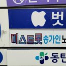 미스트롯노래연습장 이미지