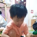 유안농장 이미지