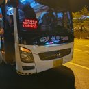 파랑새목장 | 파랑새투어 [정동진-하늘목장] 버스투어 장단점 후기