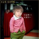 정민 Daum카페