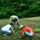 여름지기 - 봉화군 공세동길 86 | 여름지기