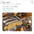 천상애약속