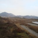 하동군다목적캠핑장 이미지