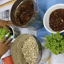 냅킨 아트 화분 만들기 이미지