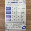 헬로우버디 분당점 이미지
