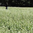 탑동농장 이미지