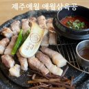 지금애월 | 제주애월 흑돼지 혼밥맛집ㅣ애월삼육공 1인세트 주문 후기(feat.전좌석 오션뷰 1인방문 가능)