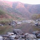 호정농장 이미지