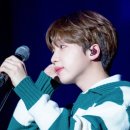 플레로마 이미지