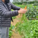 뽑아봅세 이미지